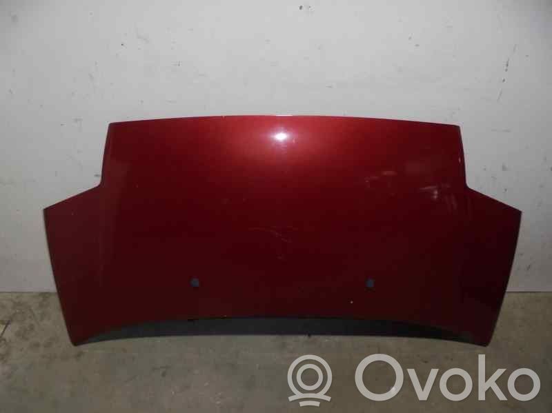 Motorhaube   7901K2