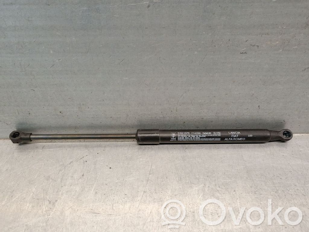 Fiat 500L Amortiguador/puntal del capó/tapa delantero 