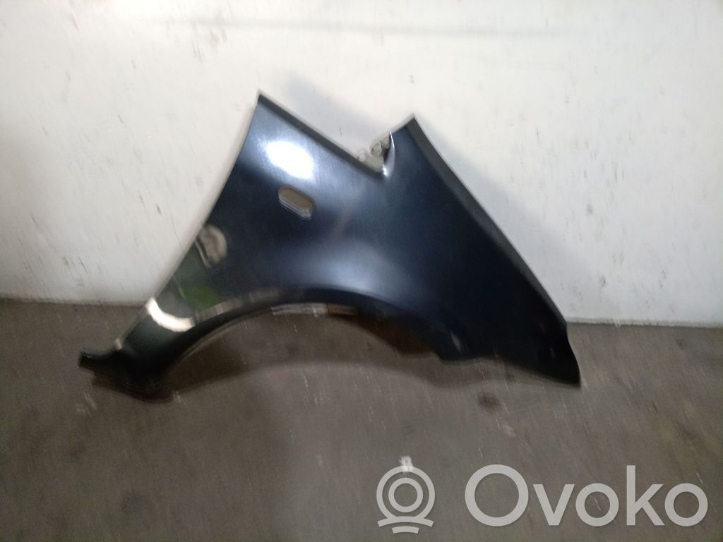 Ford Focus Guardabarro 