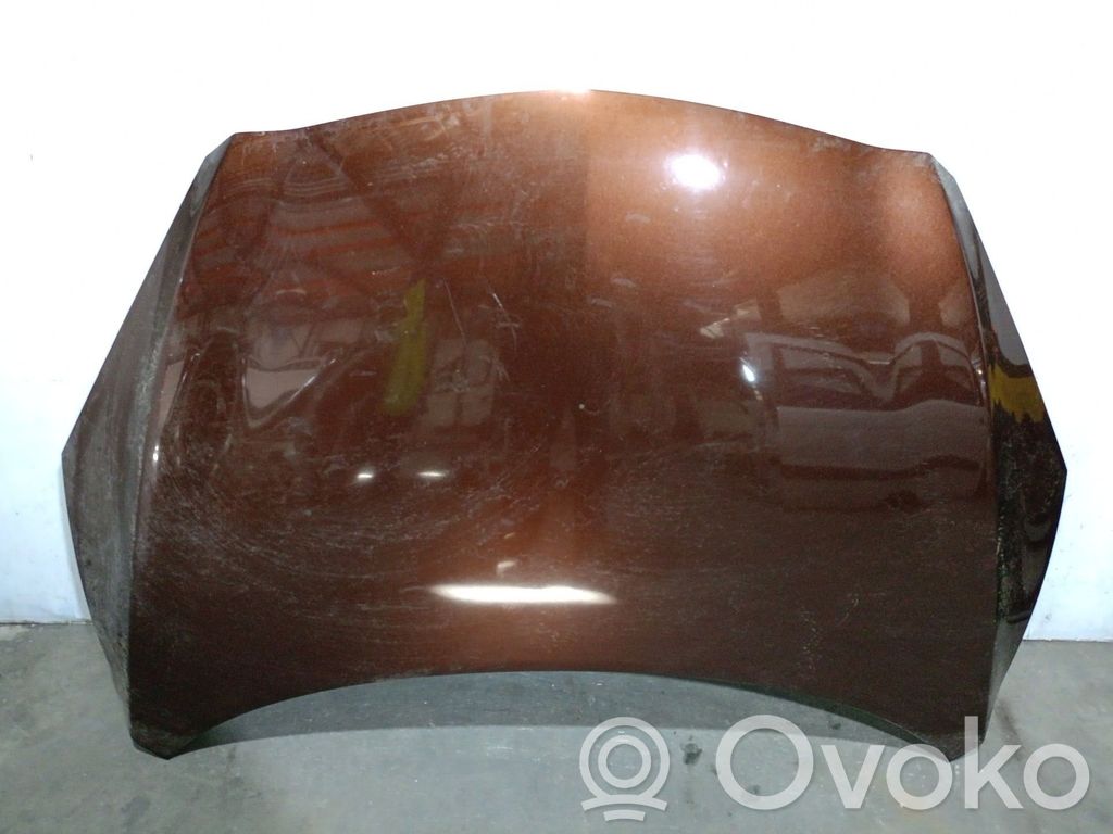 Capotă motor   BBY45231XC,BBY45231XC