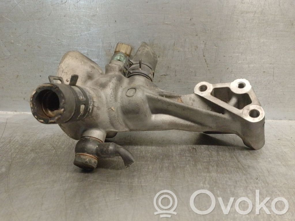 Termostat   255514X110,255514X110