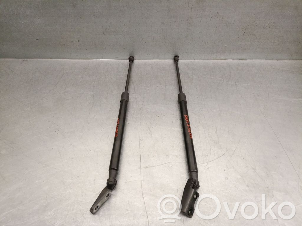 Smart ForTwo II Amortiguador/puntal del maletero/compartimento de carga 