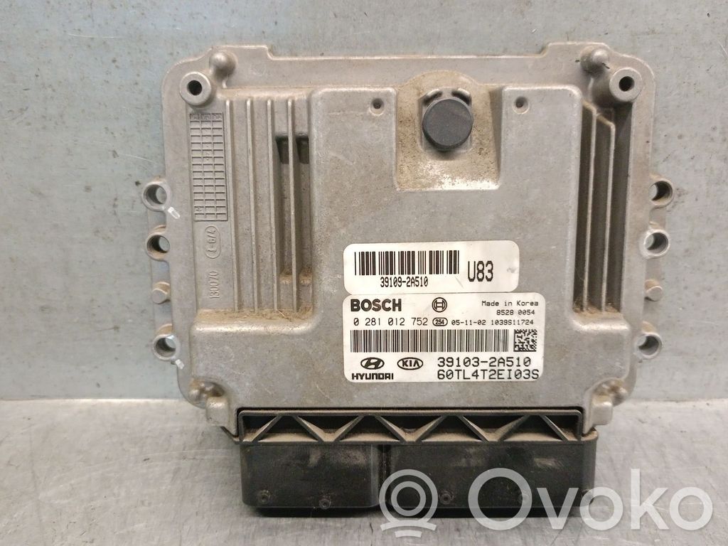 Hyundai Getz Engine control unit/module 