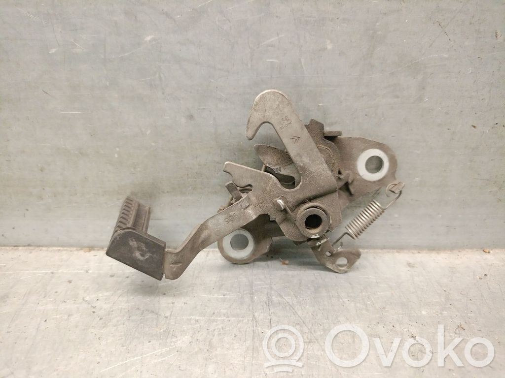 Tie down hook / loop   793468,793468