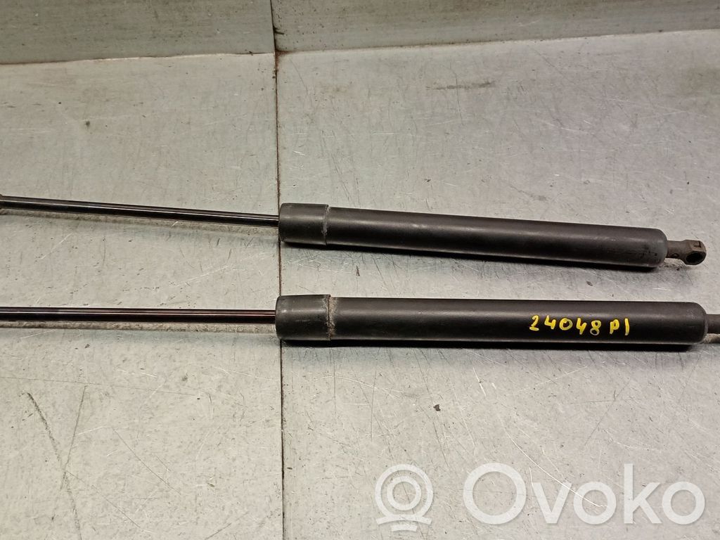 Renault Modus Tailgate/trunk strut/damper 