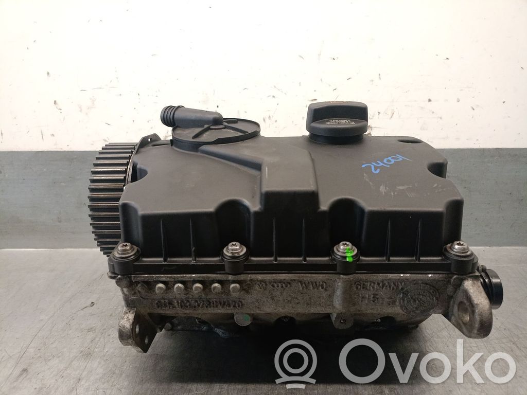 Seat Ibiza III (6L) Engine head 
