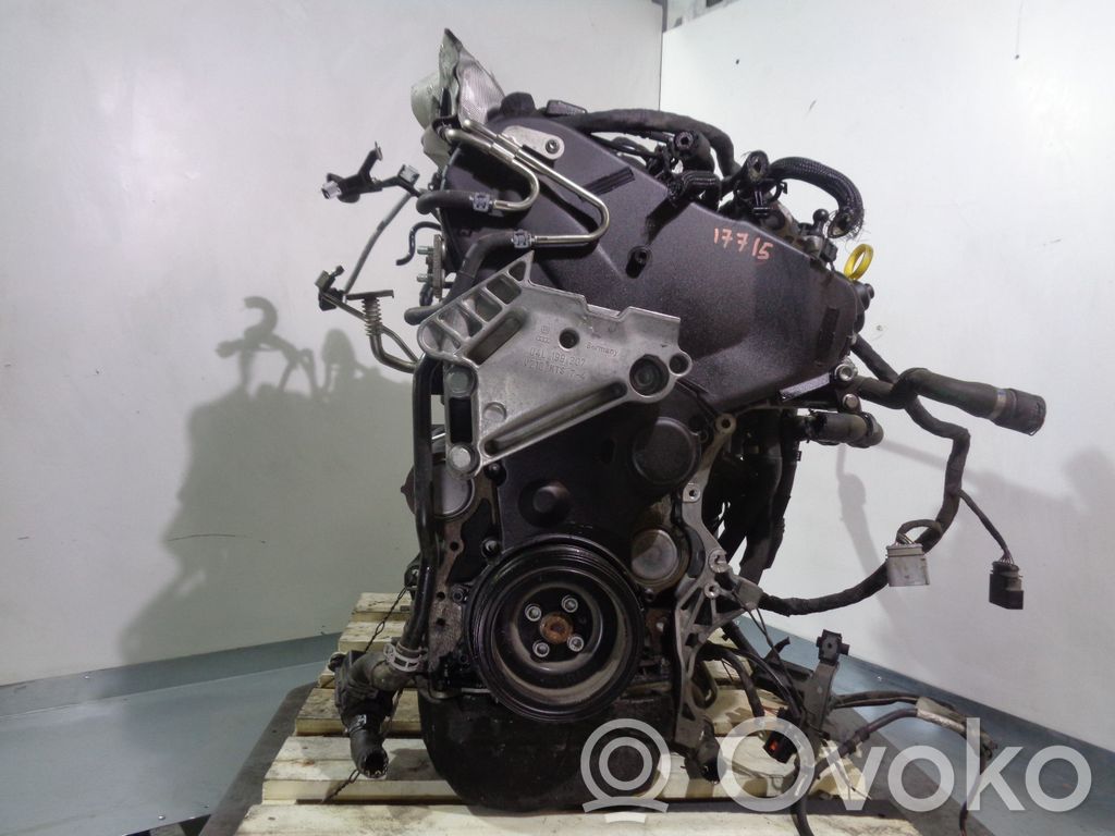 Silnik   CUVC,04L100036C,016605