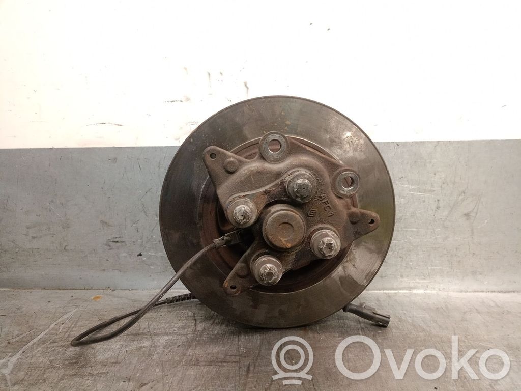 Renault Megane III Rear wheel hub spindle/knuckle 