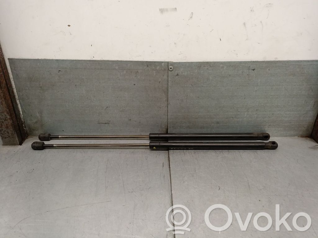 Ford Focus Tailgate/trunk strut/damper 
