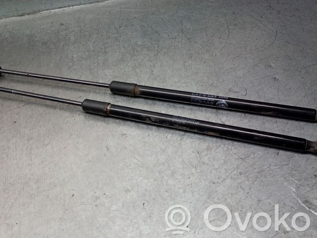 Citroen C5 Aircross Amortiguador/puntal del maletero/compartimento de carga