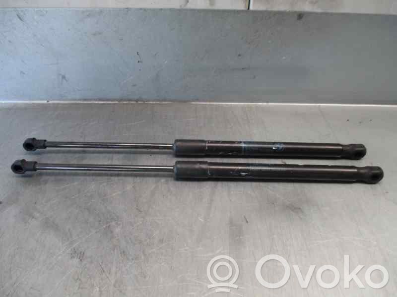 Tailgate/trunk strut/damper   51247060622,5754UY
