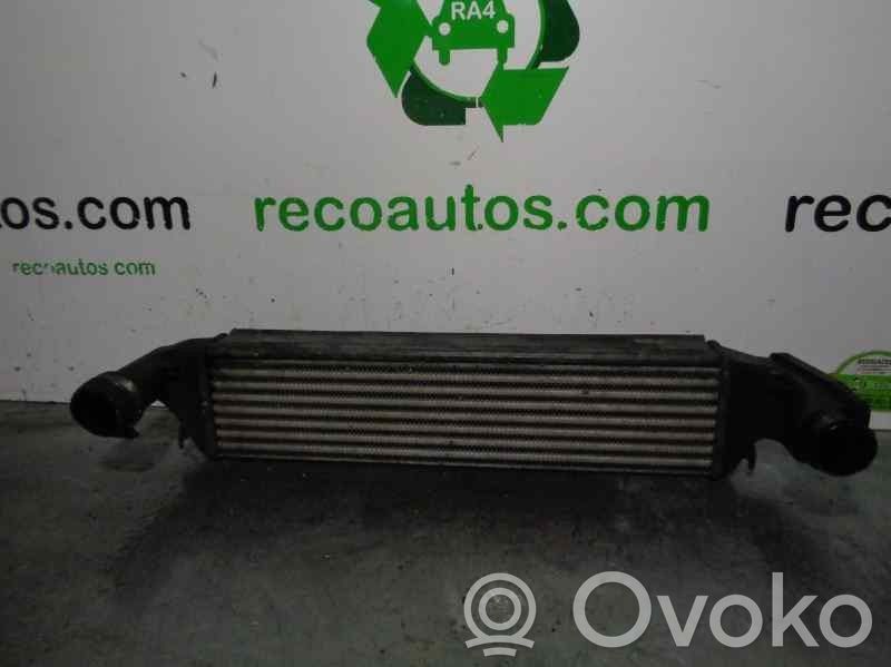 Intercooler radiator   17512246795