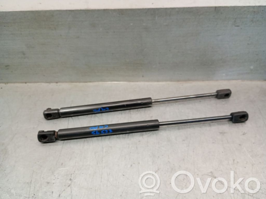 Land Rover Discovery Sport Ammortizzatore portellone anteriore/cofano 