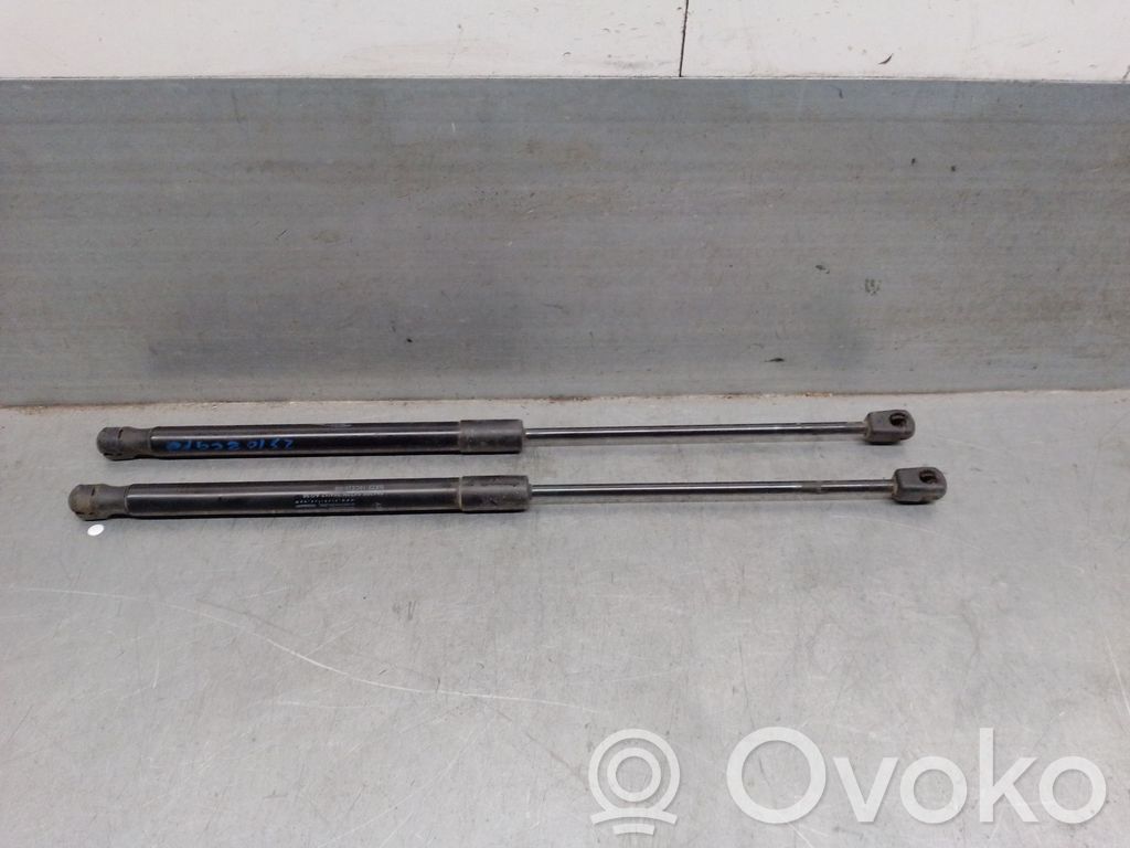 Jaguar XE Ammortizzatore portellone anteriore/cofano 