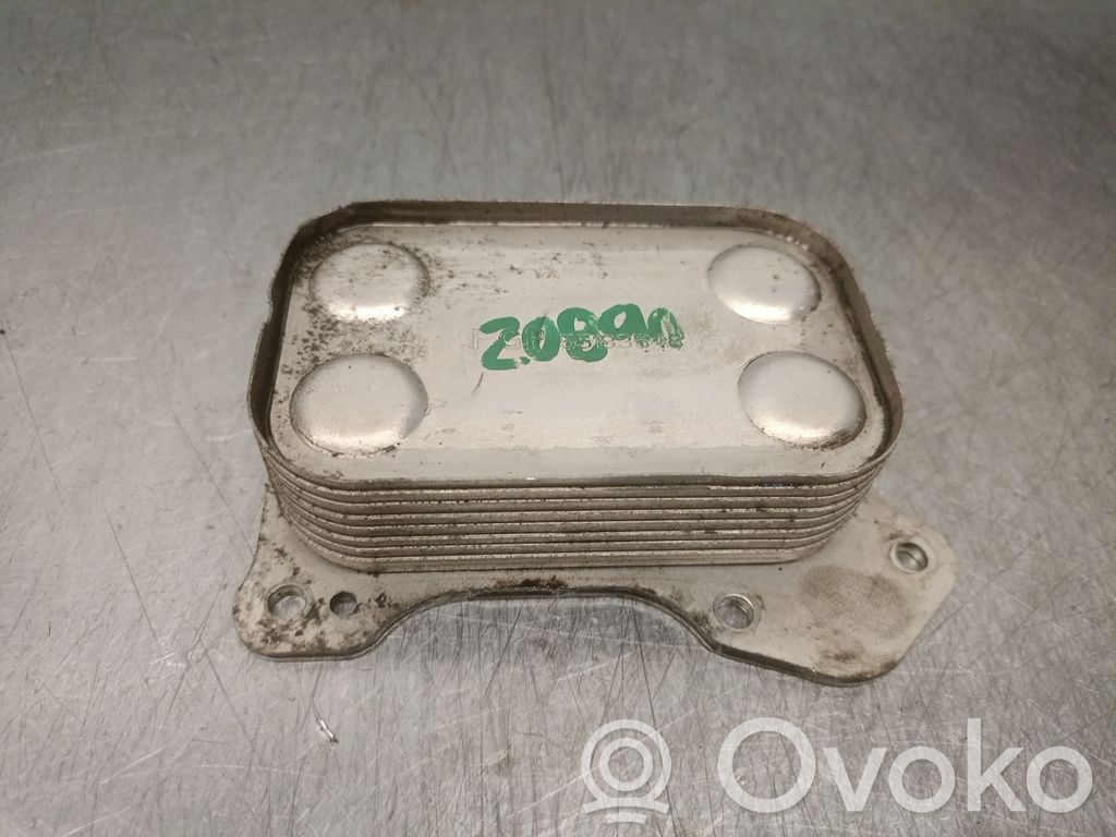 Variklio tepalo radiatorius   55183548,241319071FGP