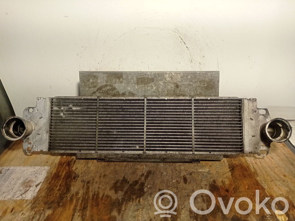Volkswagen Transporter - Caravelle T5 Interkūlerio radiatorius 
