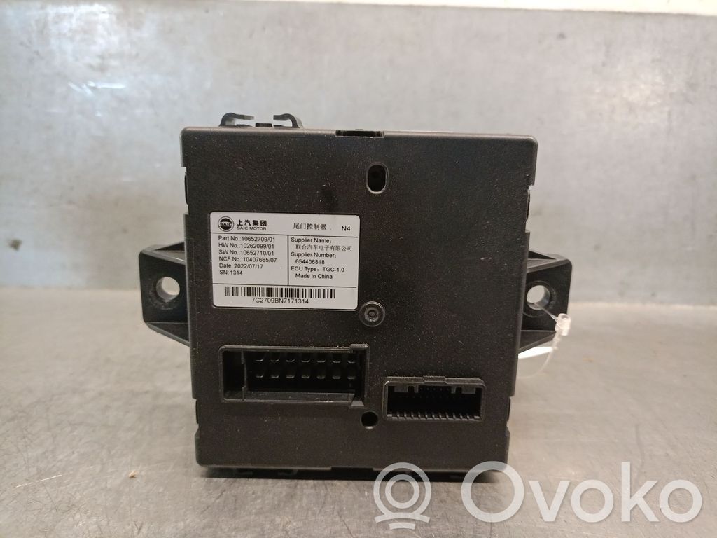 Other control units/modules   10652709