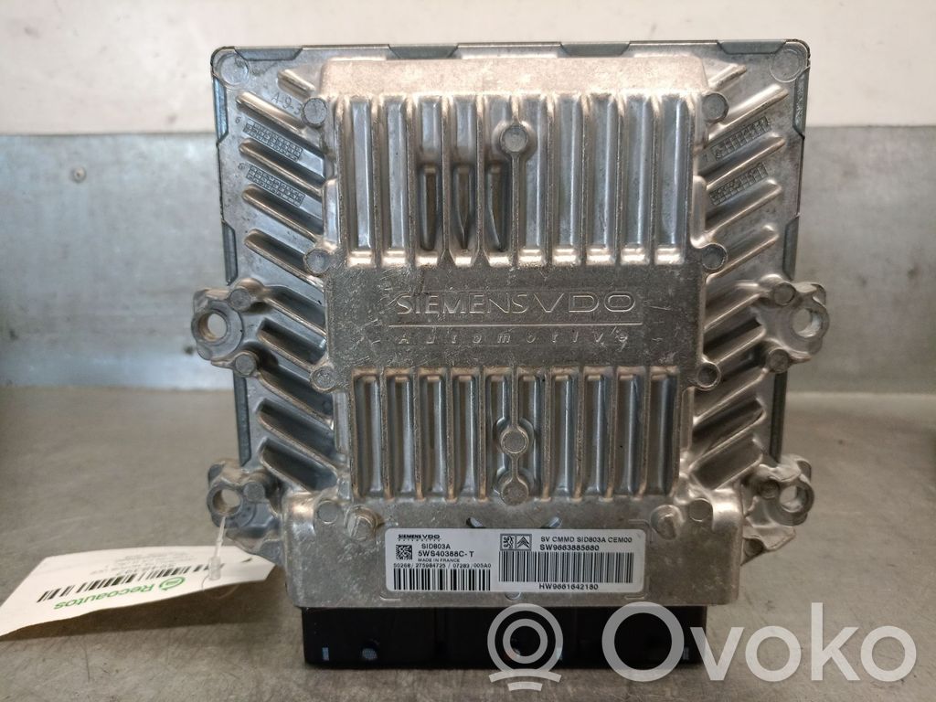 Citroen C5 Engine control unit/module 