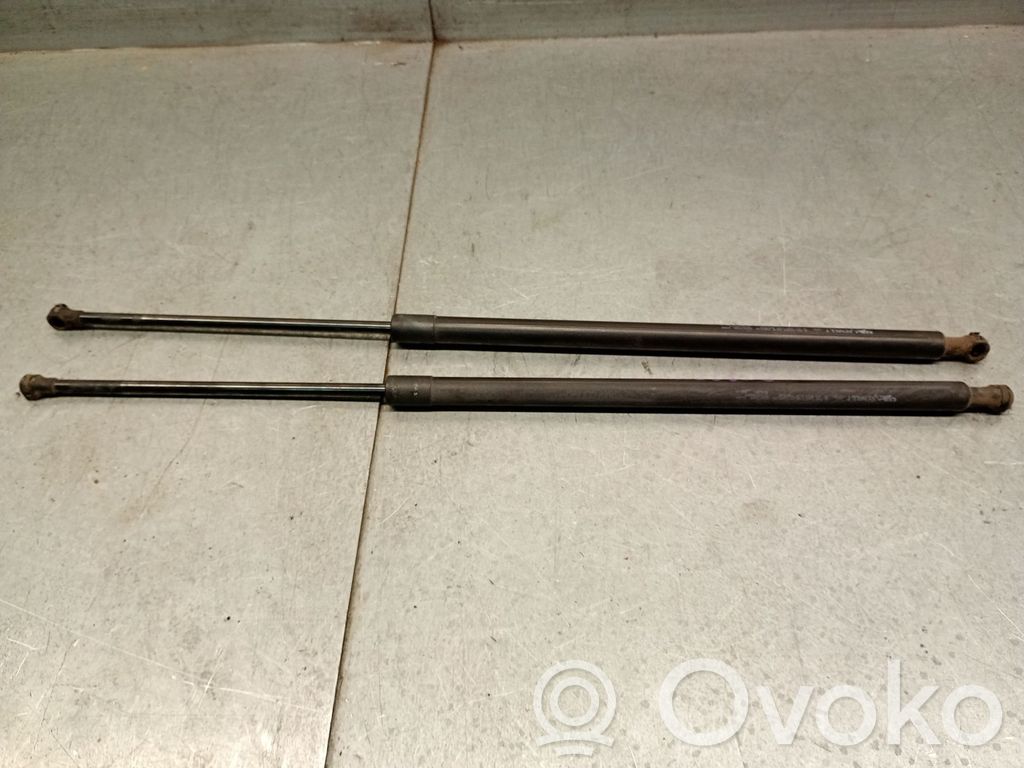 Renault Grand Modus Amortizor hayon 
