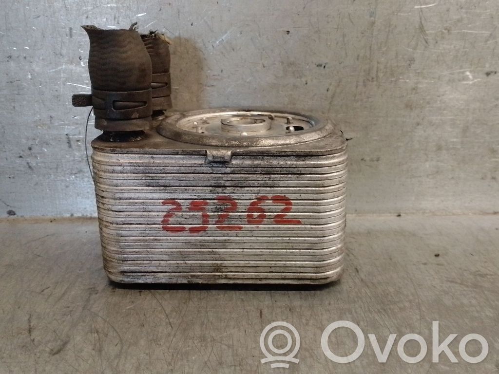 Radiator ulei motor   038117021E,038117021E