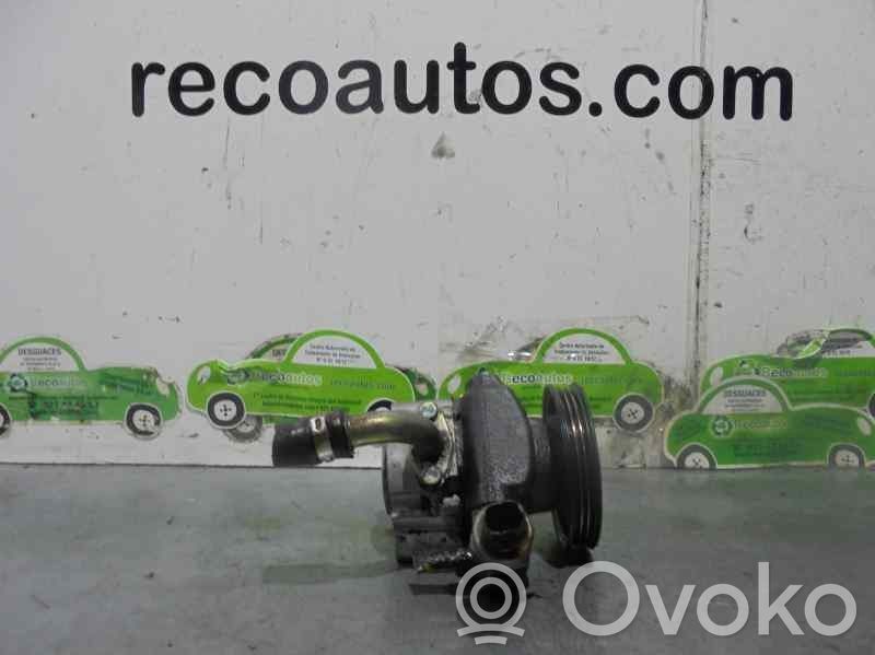 Rover 75 Vairo stiprintuvas (elektrinis) 