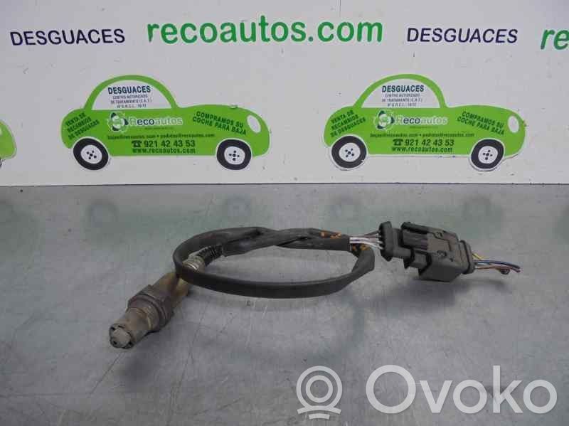 Rover 45 Lambda zondas 