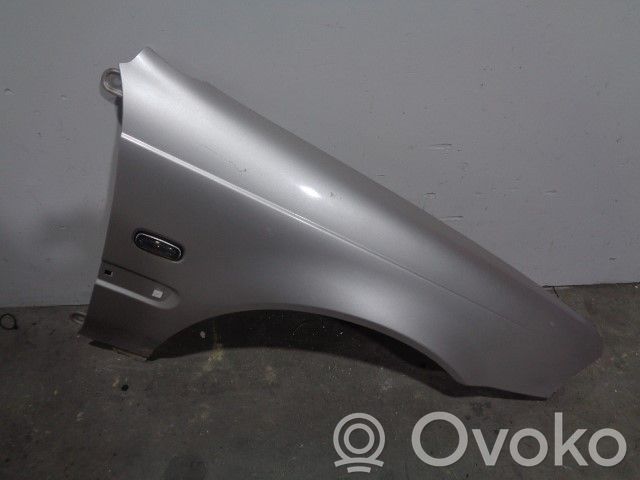 Guardabarro   4243745,GRIS