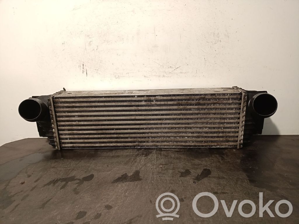 Intercooler radiator   17517812016,T3384003