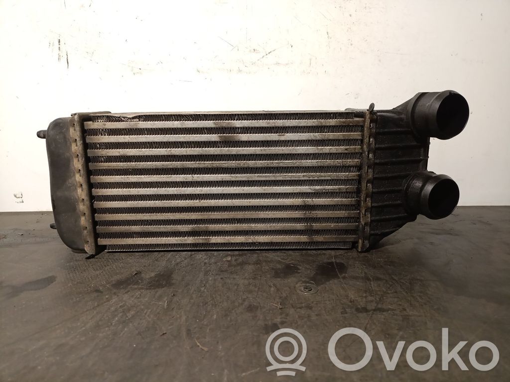 Peugeot Expert Starpdzesētāja radiators 
