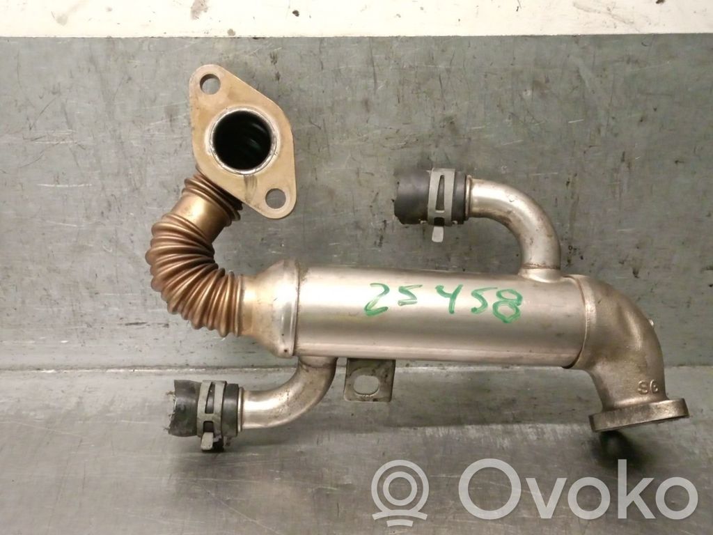 Skoda Fabia Mk2 (5J) Valvola di raffreddamento EGR 