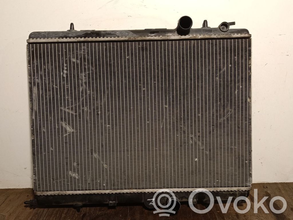 Peugeot 206 Radiator lichid răcire 