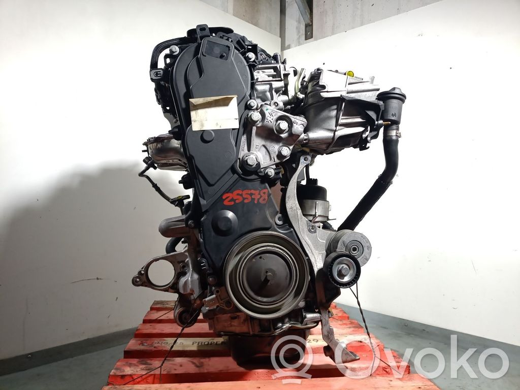 Dzinējs   RH02,0135QP,10DYZE