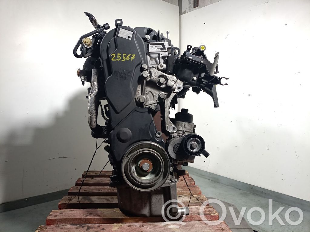 Motor   RH01,0135QG,10DYXH