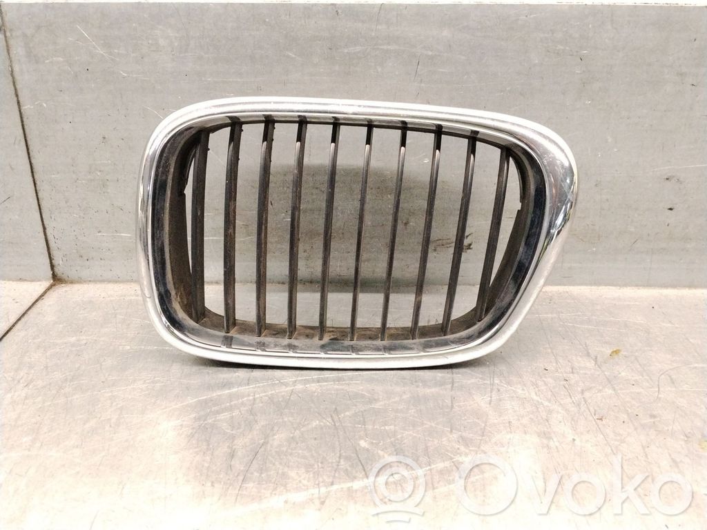 BMW 5 E39 Kühlergrill 