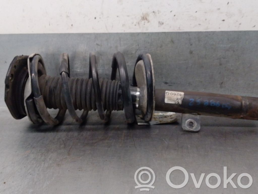 Citroen Xsara Ammortizzatore anteriore con molla elicoidale