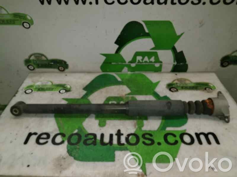 Peugeot 206 Amortizor spate 