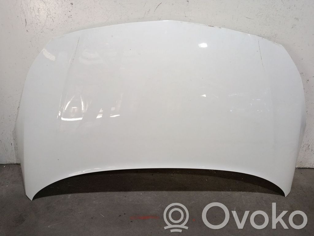 Engine bonnet/hood   1160102,1160102