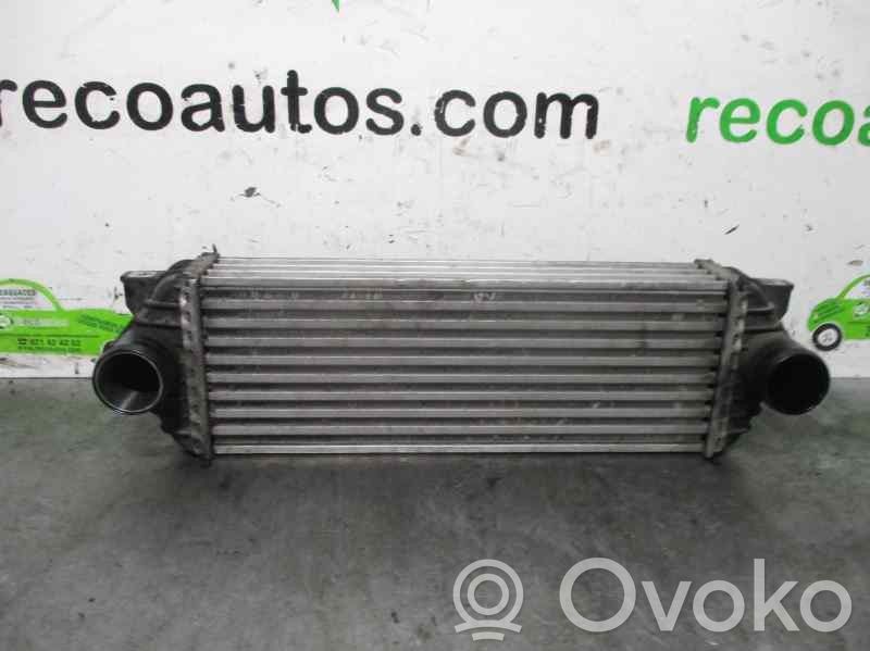 Ford Tourneo Ladeluftkühler