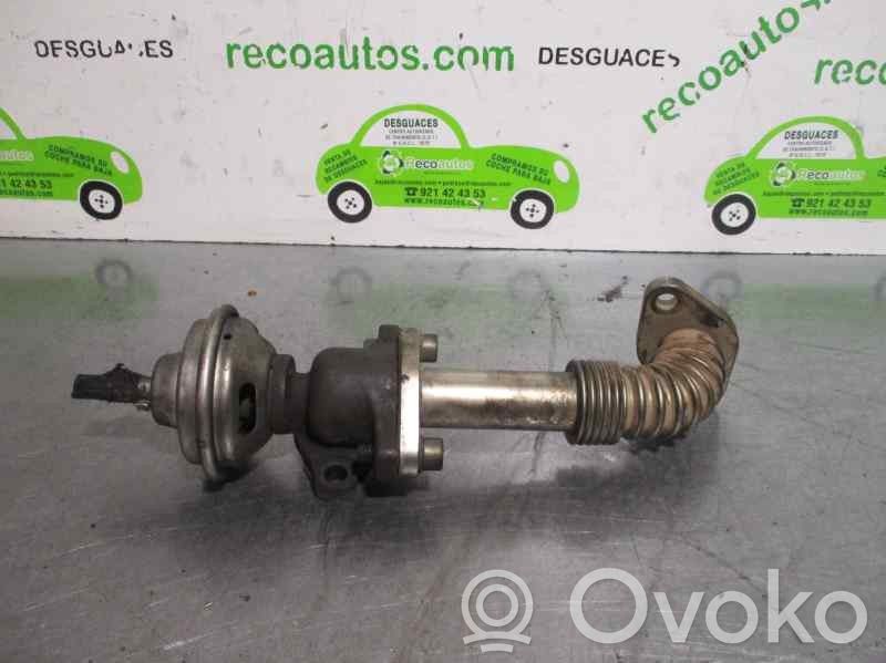 Volkswagen Passat Alltrack Valvola EGR