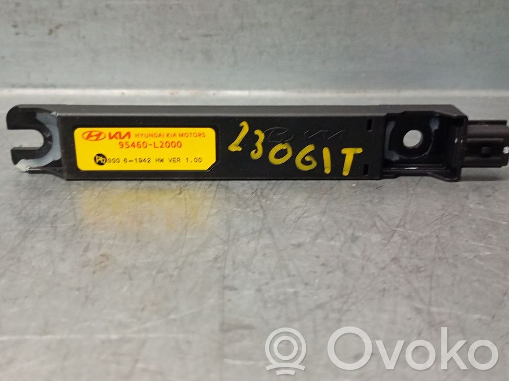 Hyundai Kona II Radio antenna