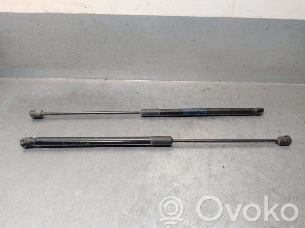 Audi A3 S3 8V Amortiguador/puntal del maletero/compartimento de carga 