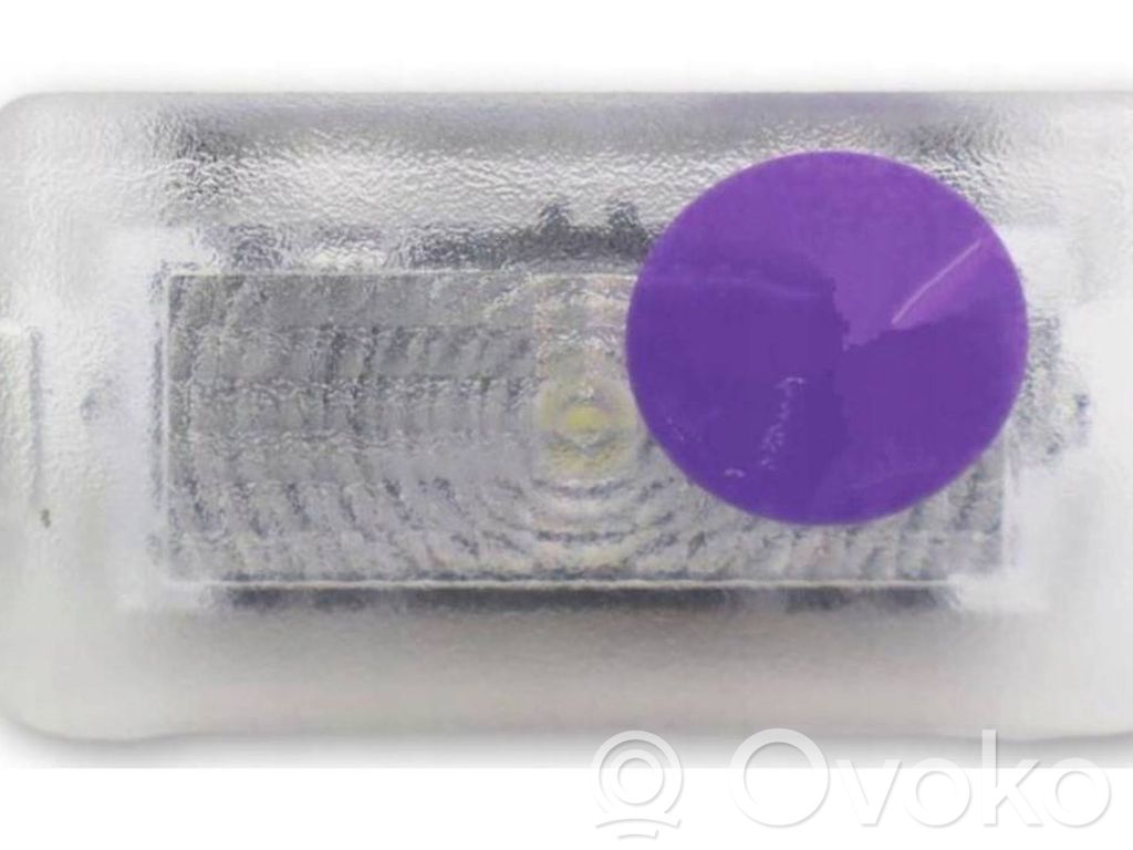 Tesla Model 3 Headlining lighting console trim 