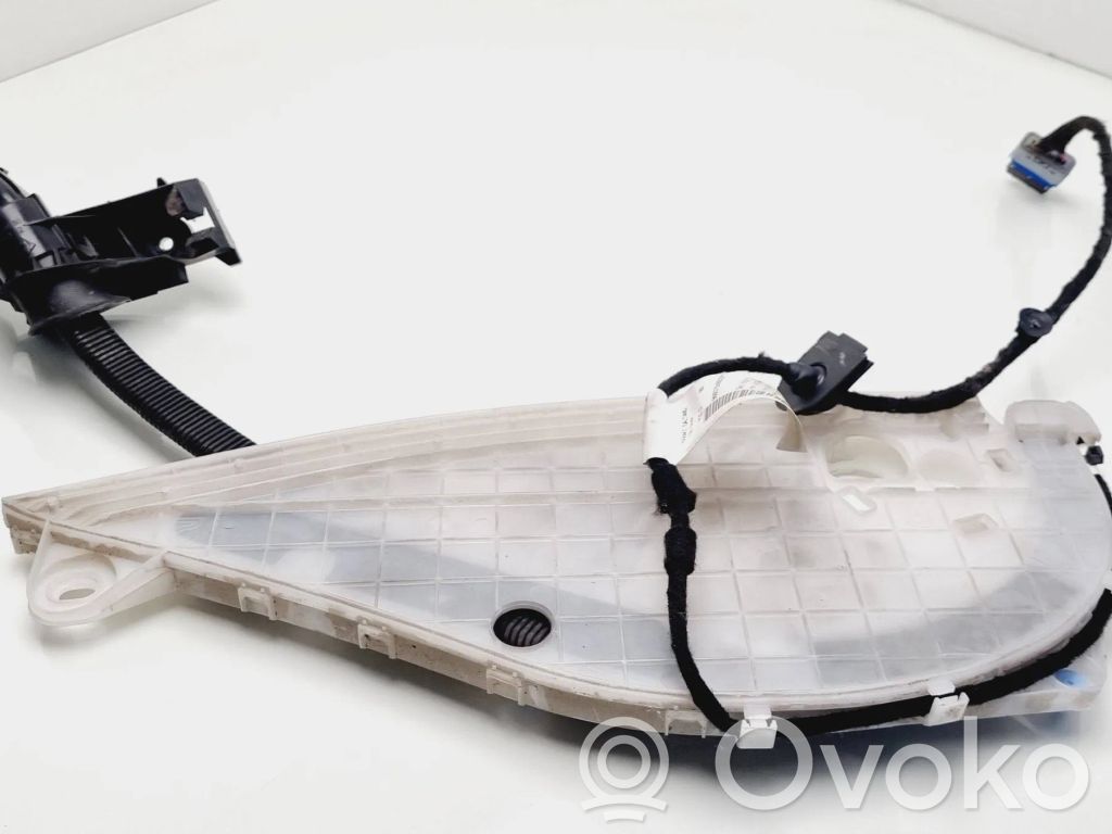 Citroen Berlingo Cableado de puerta trasera 