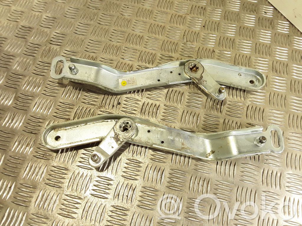Volkswagen Phaeton Tailgate/trunk/boot hinge 