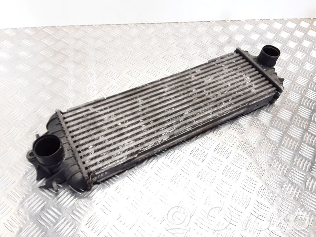 Intercooler radiator