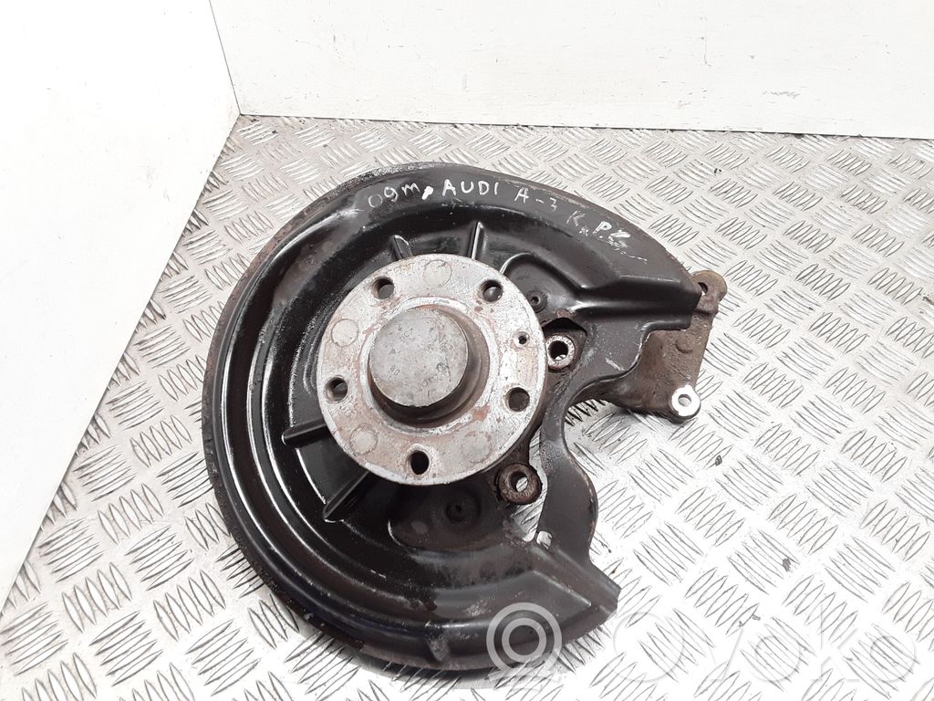 Audi A3 S3 8P Radnabe Hinterrad 