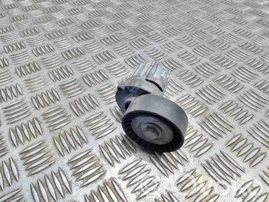 Volkswagen PASSAT B7 Tendicinghia generatore/alternatore 