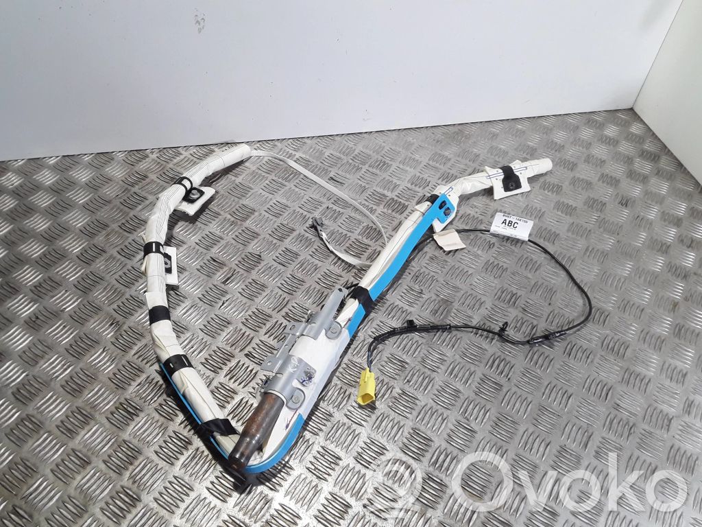 Ford Focus Roof airbag 
