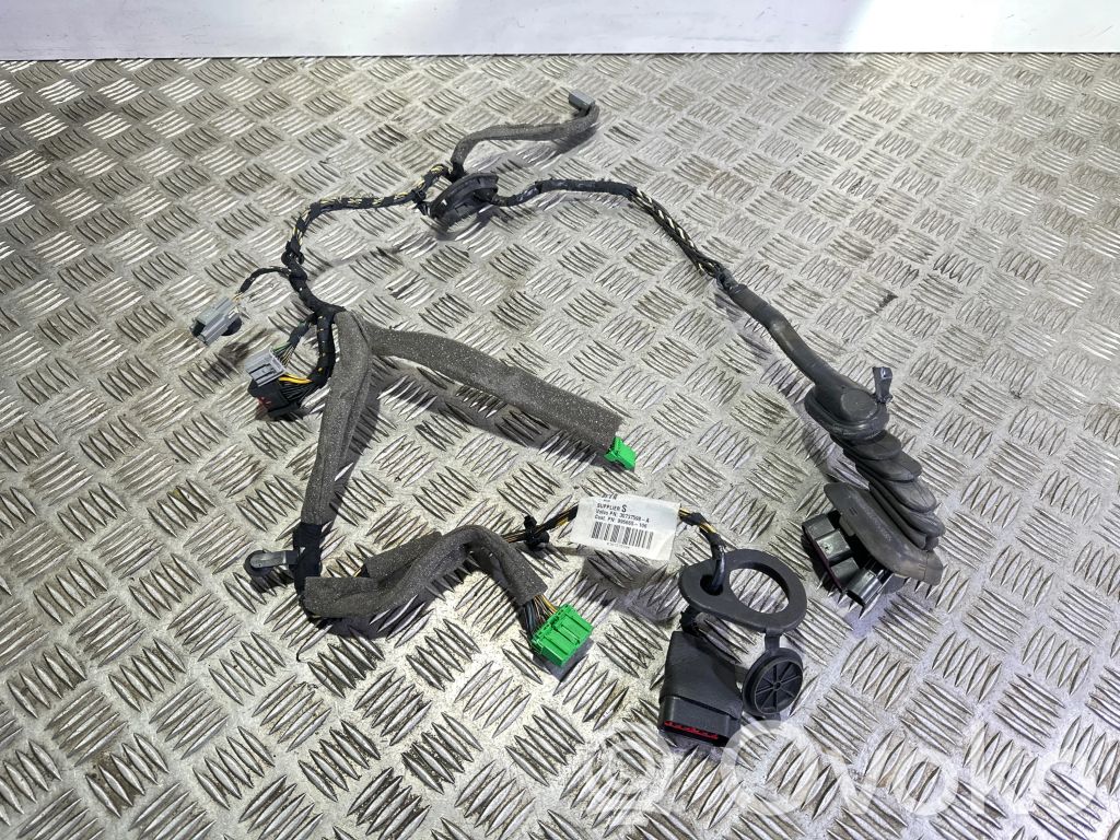 Cableado de puerta delantera   30737598A,996665106