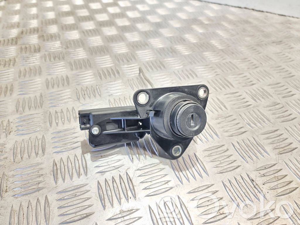 Dacia Duster Tailgate exterior lock 